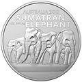 1 oz 2022 Australian Zoo - Sumatran Elephant – revers