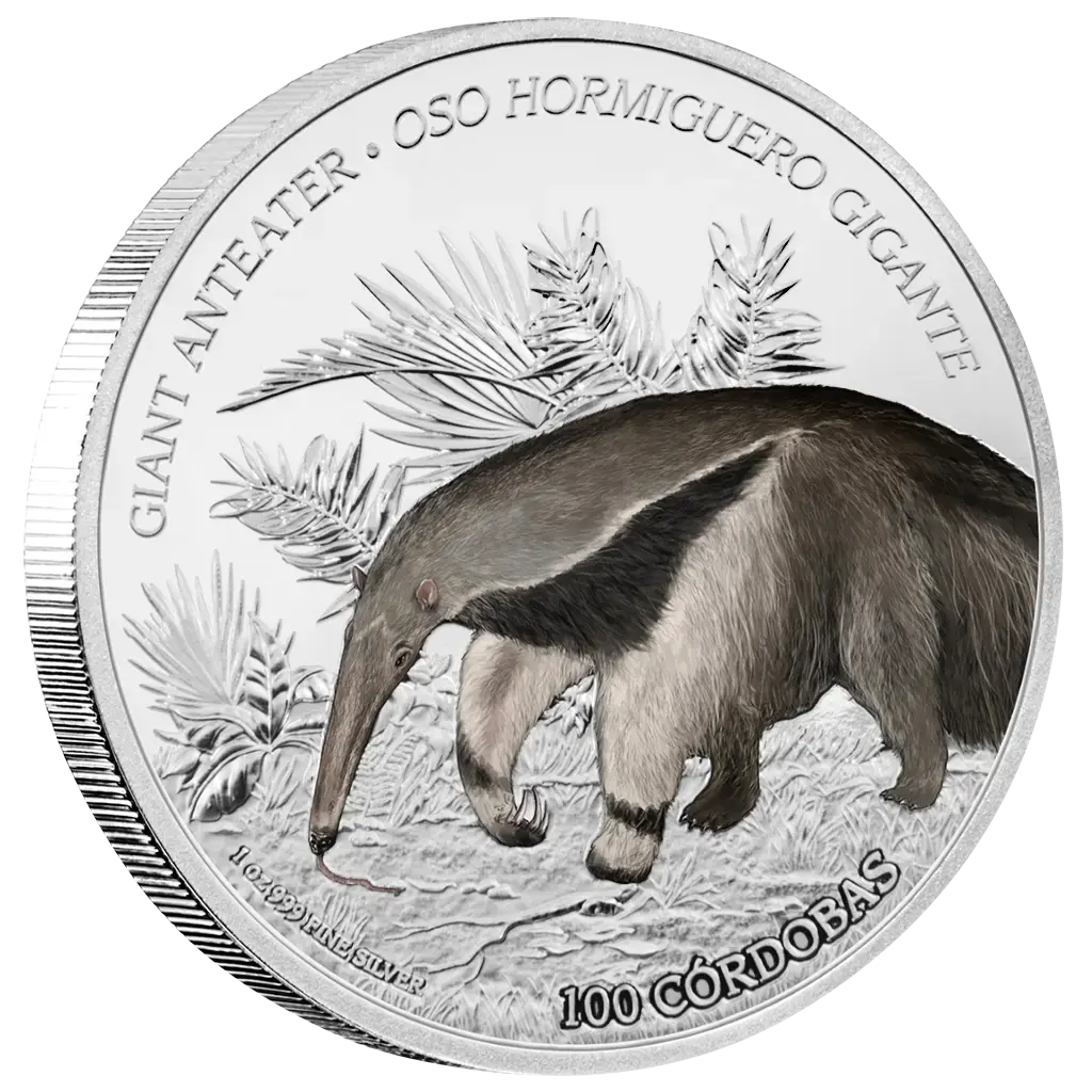 Three-Toed Sloth Color Proof – eske og treeske åpen