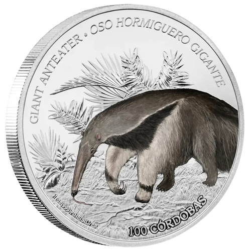 Three-Toed Sloth Color Proof – eske og treeske åpen