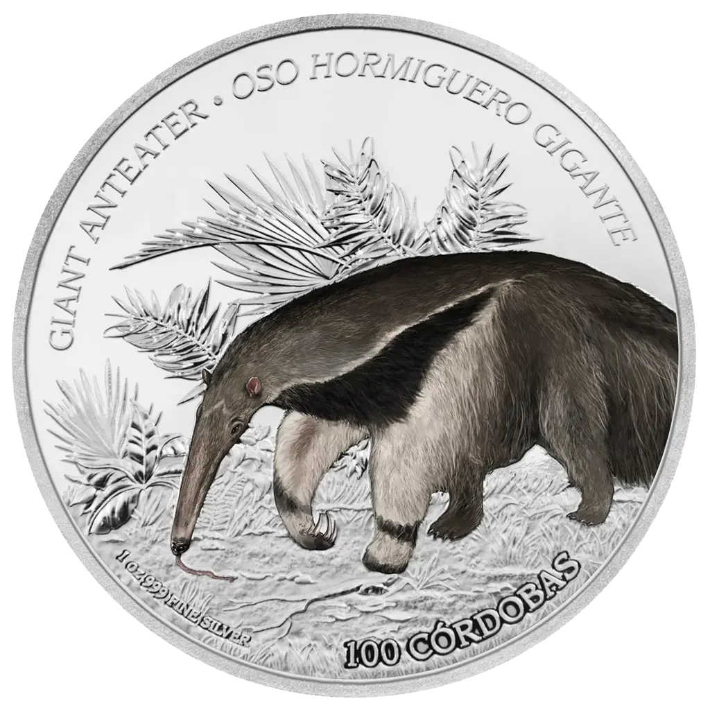 Giant Anteater – presentasjonsboks forsiden